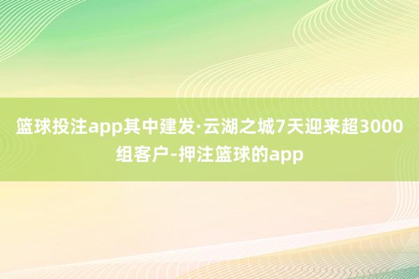 篮球投注app其中建发·云湖之城7天迎来超3000组客户-押注篮球的app