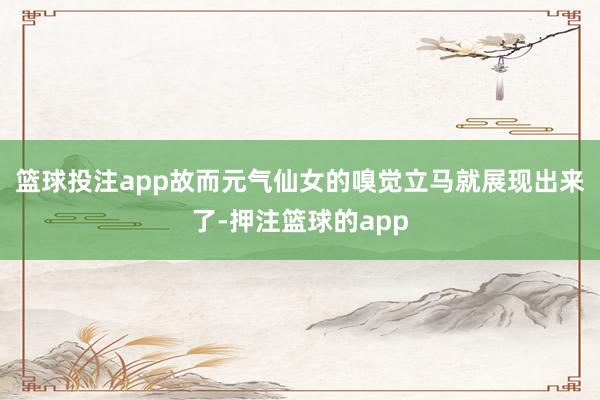 篮球投注app故而元气仙女的嗅觉立马就展现出来了-押注篮球的app