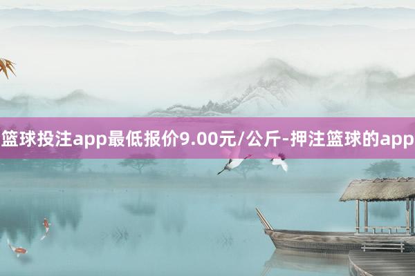 篮球投注app最低报价9.00元/公斤-押注篮球的app