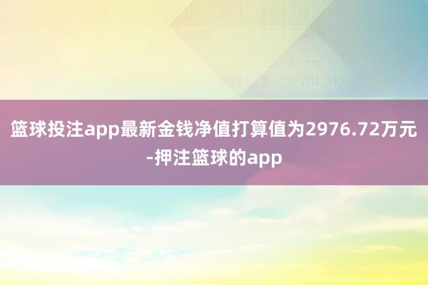 篮球投注app最新金钱净值打算值为2976.72万元-押注篮球的app