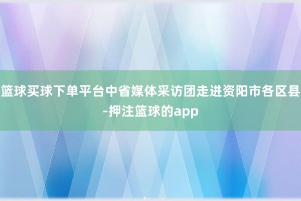 篮球买球下单平台中省媒体采访团走进资阳市各区县-押注篮球的app