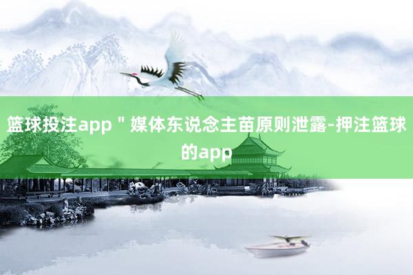 篮球投注app＂媒体东说念主苗原则泄露-押注篮球的app