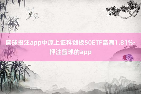 篮球投注app中原上证科创板50ETF高潮1.81%-押注篮球的app