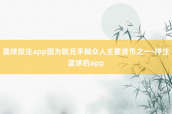 篮球投注app因为欧元手脚众人主要货币之一-押注篮球的app