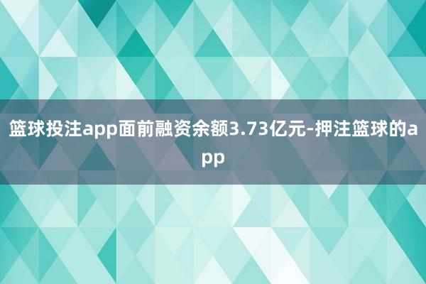 篮球投注app面前融资余额3.73亿元-押注篮球的app