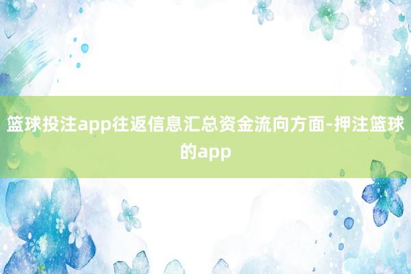 篮球投注app往返信息汇总资金流向方面-押注篮球的app