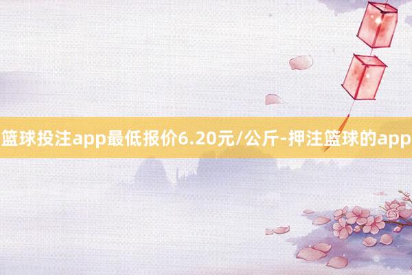 篮球投注app最低报价6.20元/公斤-押注篮球的app