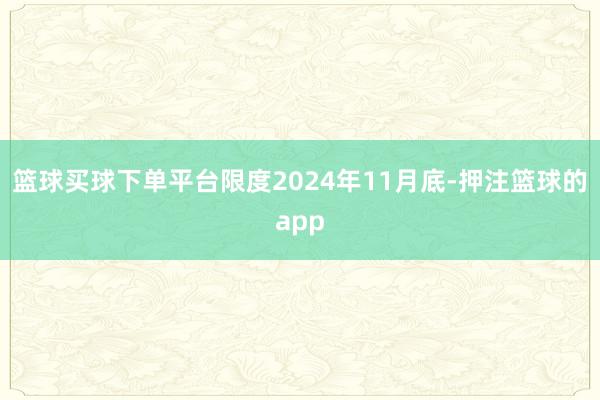 篮球买球下单平台限度2024年11月底-押注篮球的app