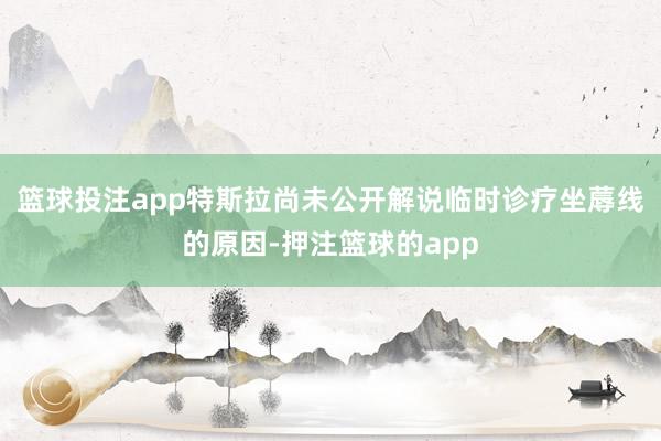 篮球投注app特斯拉尚未公开解说临时诊疗坐蓐线的原因-押注篮球的app