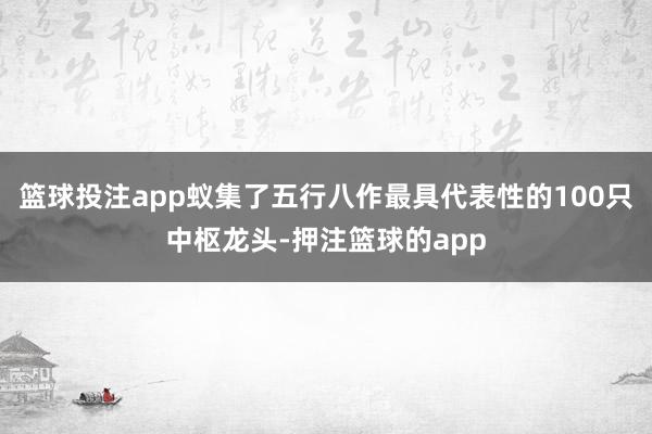 篮球投注app蚁集了五行八作最具代表性的100只中枢龙头-押注篮球的app