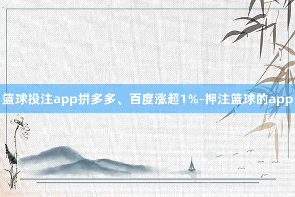 篮球投注app拼多多、百度涨超1%-押注篮球的app