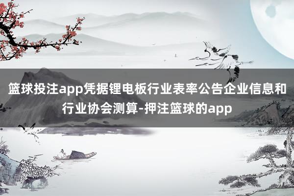 篮球投注app凭据锂电板行业表率公告企业信息和行业协会测算-押注篮球的app