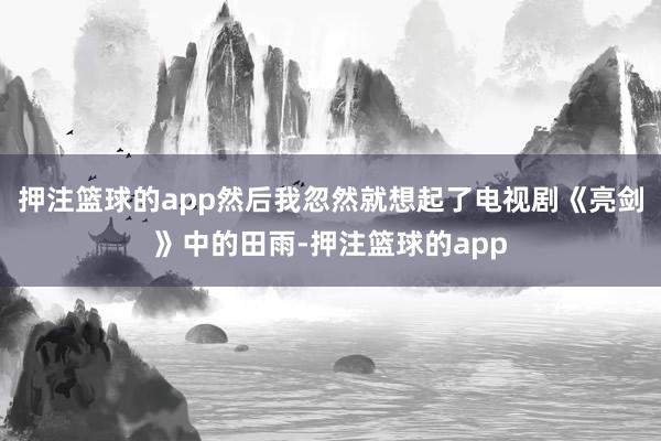 押注篮球的app然后我忽然就想起了电视剧《亮剑》中的田雨-押注篮球的app