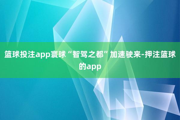 篮球投注app寰球“智驾之都”加速驶来-押注篮球的app