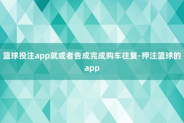 篮球投注app就或者告成完成购车往复-押注篮球的app