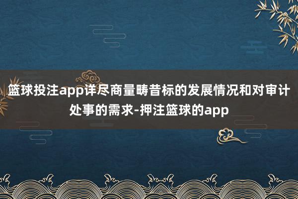 篮球投注app详尽商量畴昔标的发展情况和对审计处事的需求-押注篮球的app