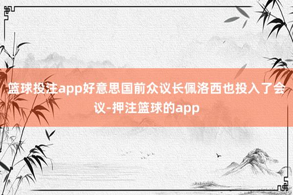 篮球投注app好意思国前众议长佩洛西也投入了会议-押注篮球的app