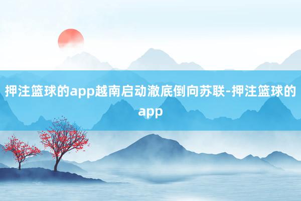 押注篮球的app越南启动澈底倒向苏联-押注篮球的app