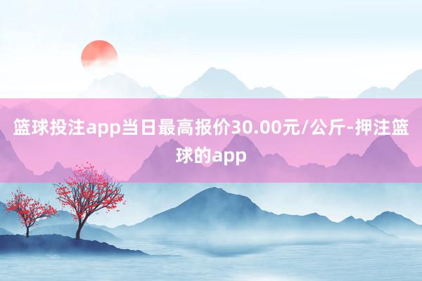 篮球投注app当日最高报价30.00元/公斤-押注篮球的app