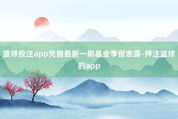 篮球投注app凭据最新一期基金季报表露-押注篮球的app