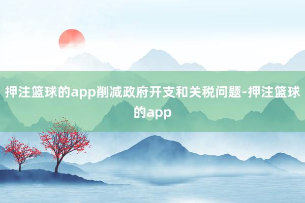 押注篮球的app削减政府开支和关税问题-押注篮球的app